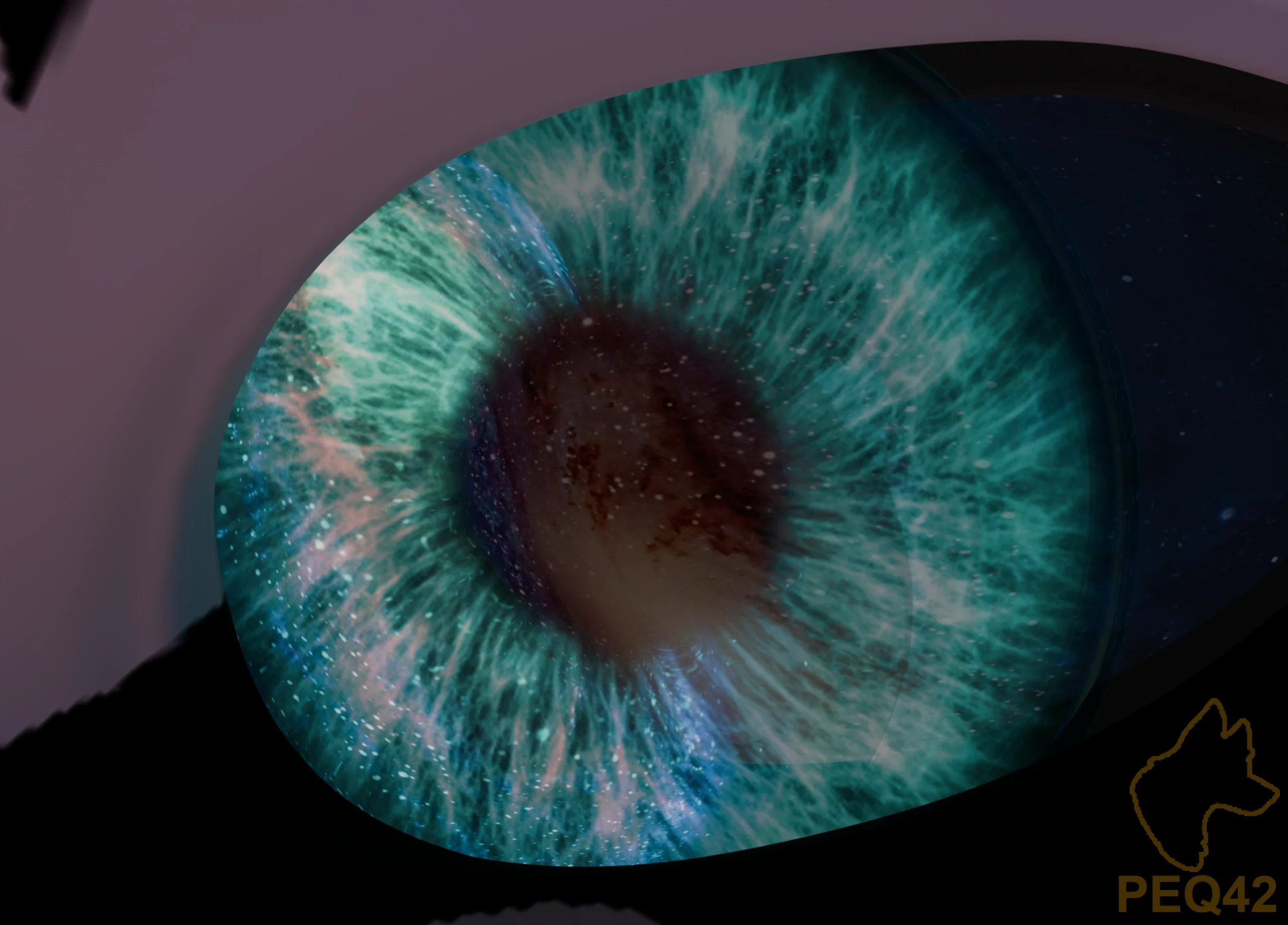 universe peq42 scaled.webp