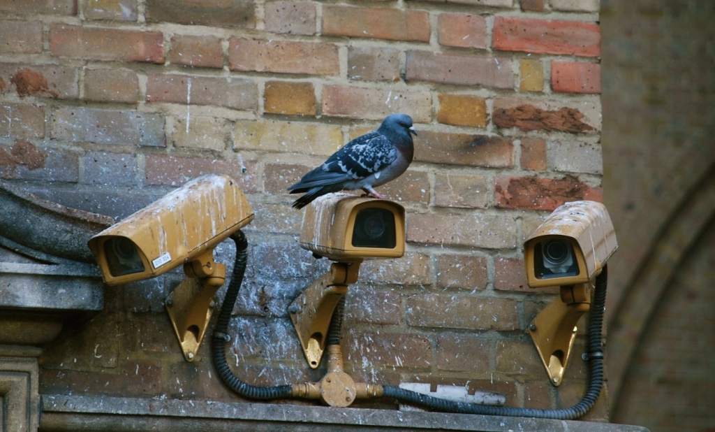 Web Environment Integrity: DRM For the internet