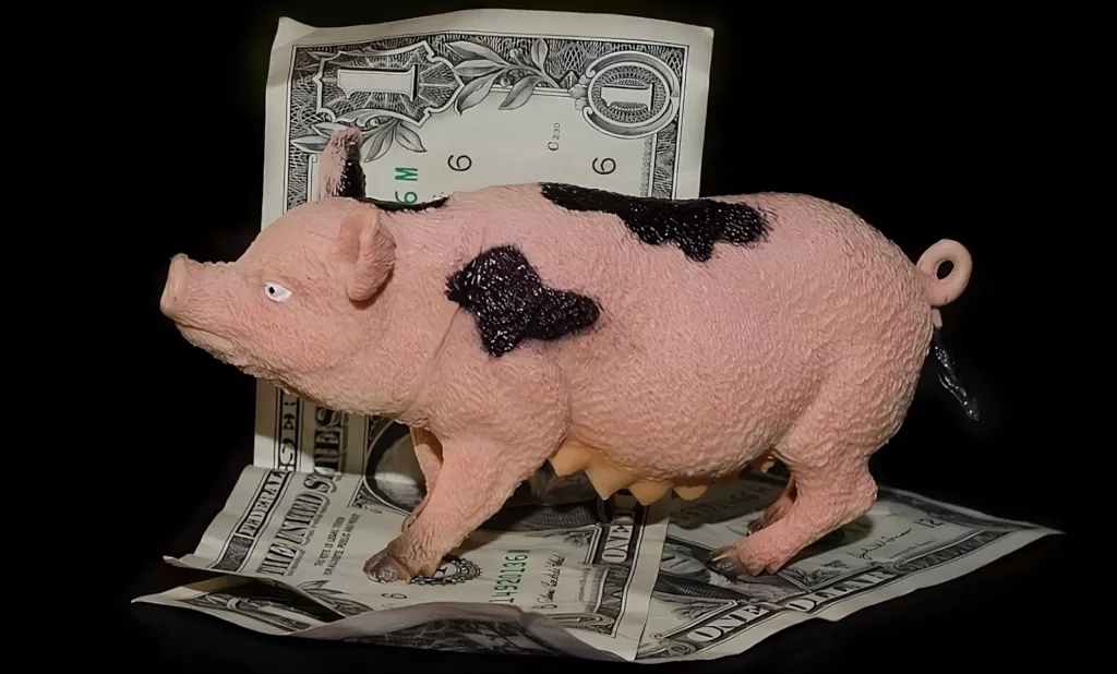 Greedy rich pig money