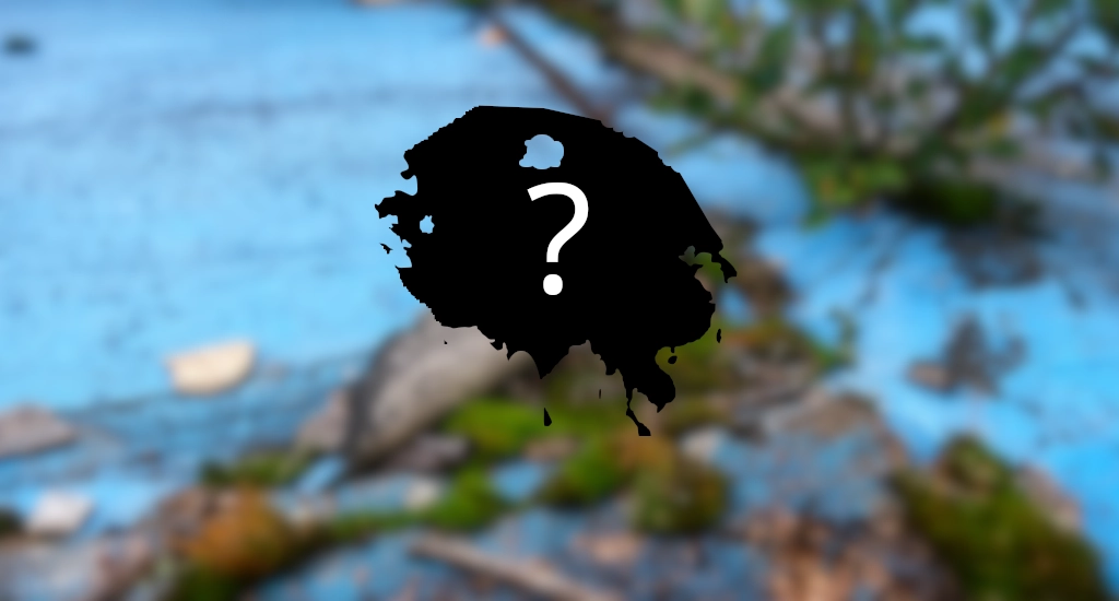 new continent surfaces