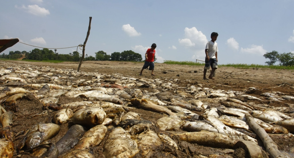 Brazil may be turning into a Desert