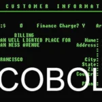 cobol programming language