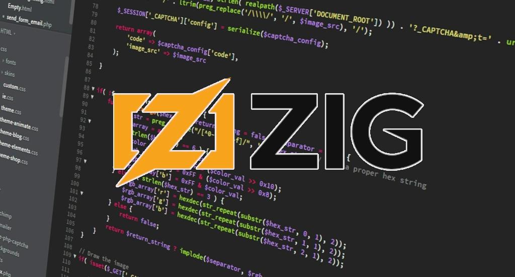 Zig: A Basic Introduction