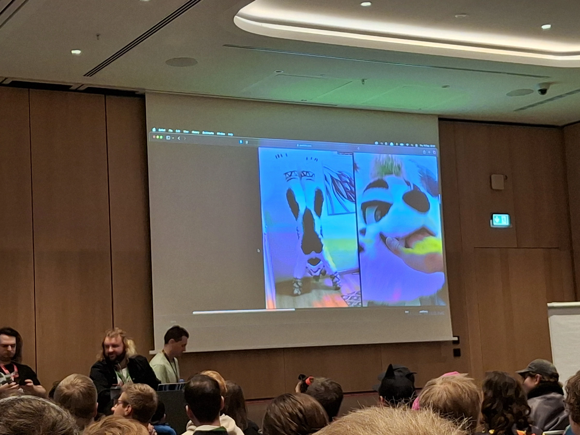 Eurofurence Panel
