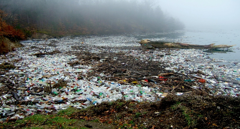 Plastic Pollution: Either we Fix or we all Lose