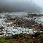 plastic pollution problem
