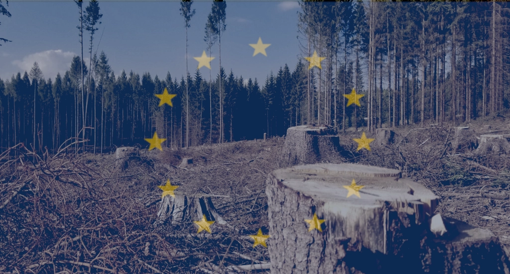 EU AGAIN delays anti-deforestation laws