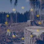 deforestation europe european union law