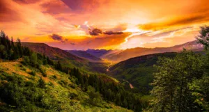 nature forest montains