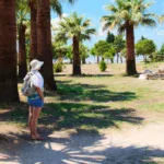 tourist brazil walking around tree