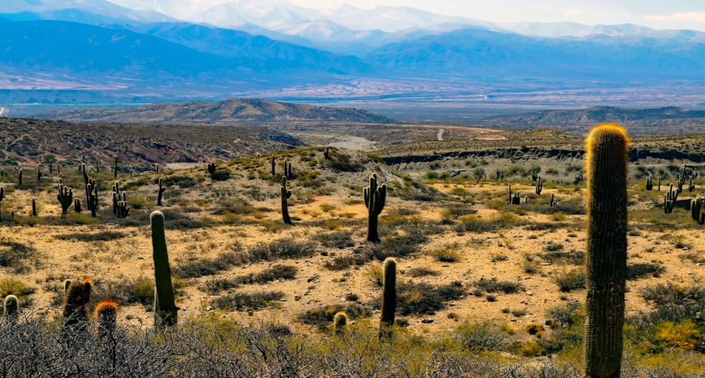 Fake OpenAI $25 Billion Datacenter in Argentina?