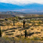 argentina patagonia desert openai datacenter stargate