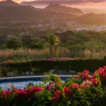 latin american open letter