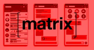 matrix security cybersecurity issues end to end encryption